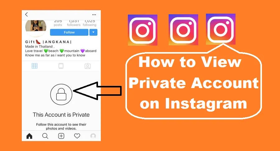 instagram private account viewer online