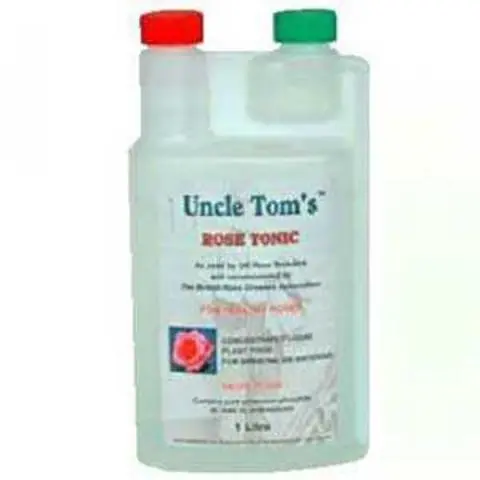 uncle toms rose tonic