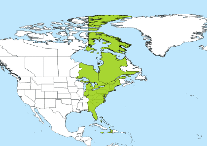 eastern time vs gmt