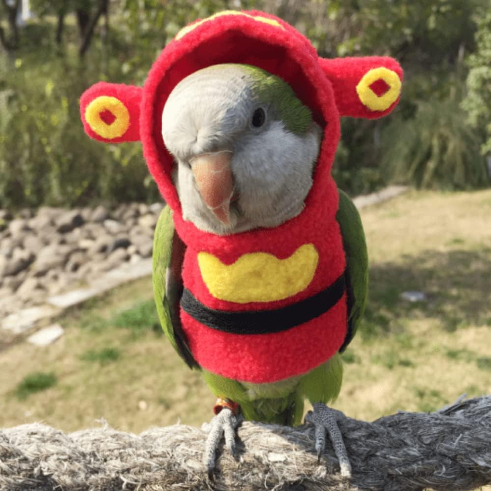 parrot clothes