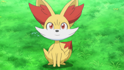 fennekin bulbapedia