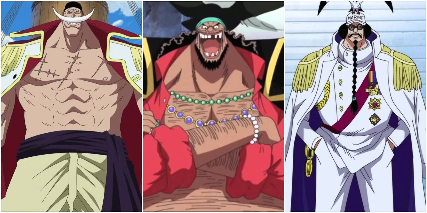 how old is whitebeard