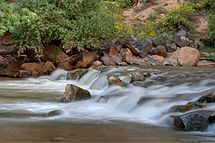 virgin river wiki