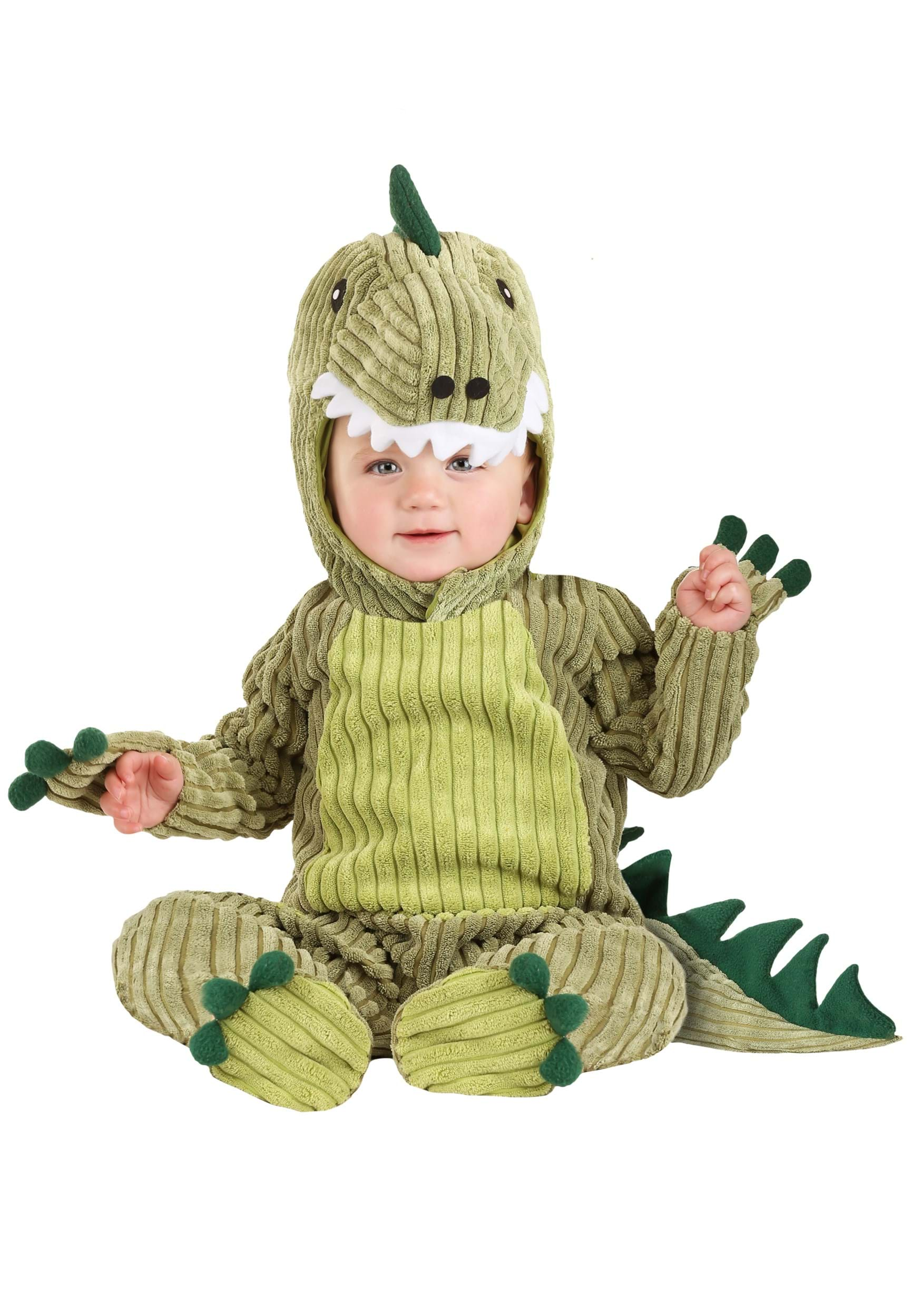 baby dinosaur costume