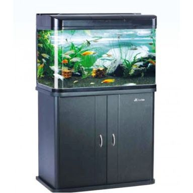 fish aquarium price in bangalore