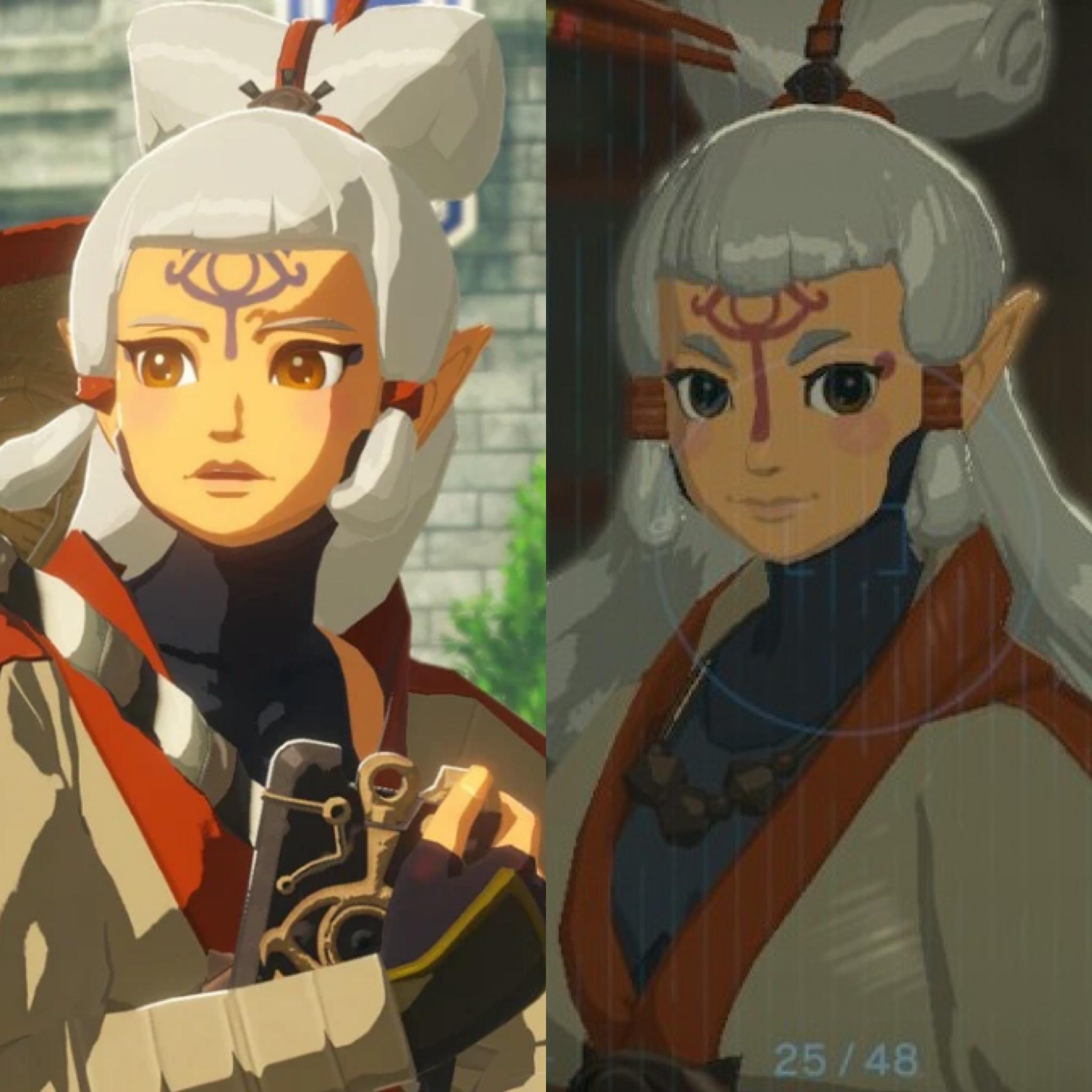 botw paya