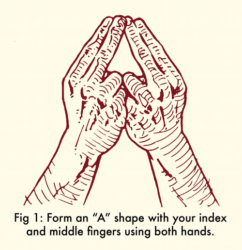 how to whistle two fingers