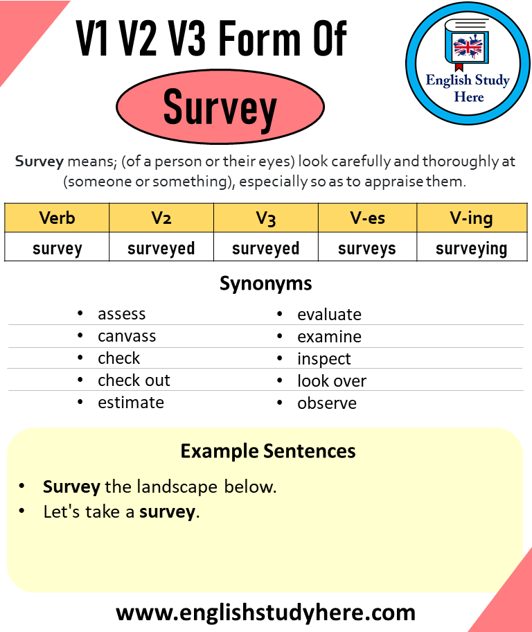 survey synonym