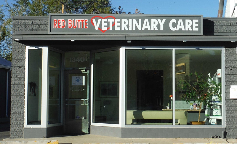 red butte vet