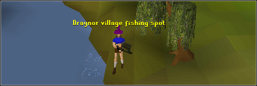 level fishing osrs