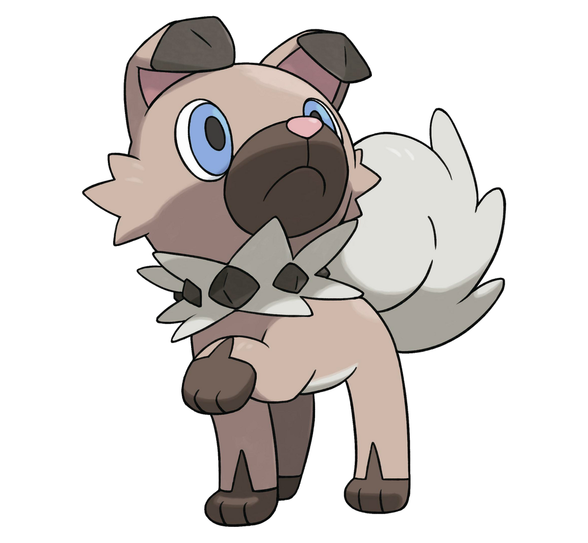 cute rockruff