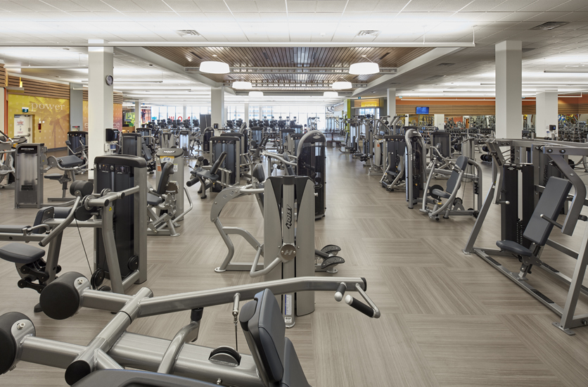 la fitness yonge and sheppard