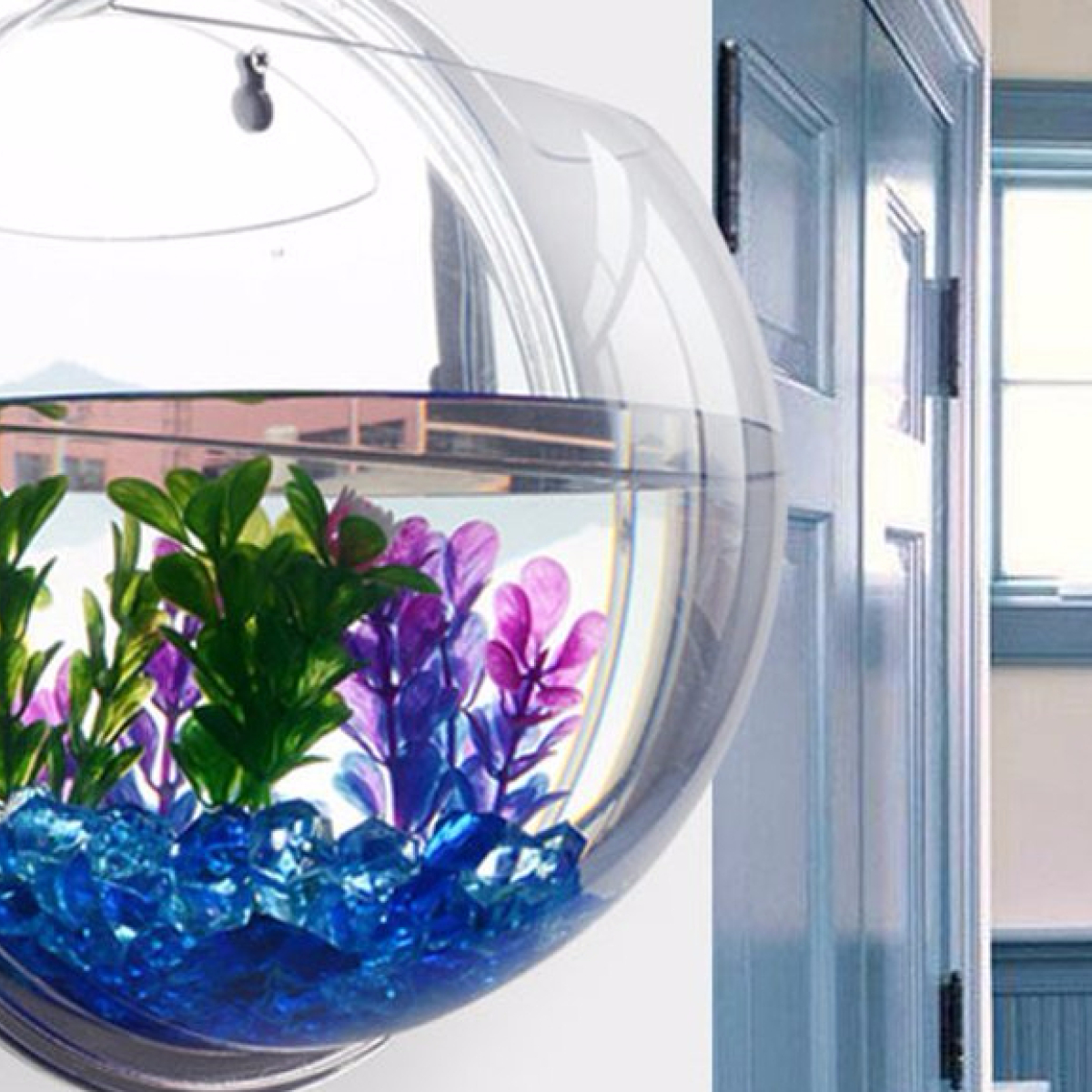 wall fish aquarium