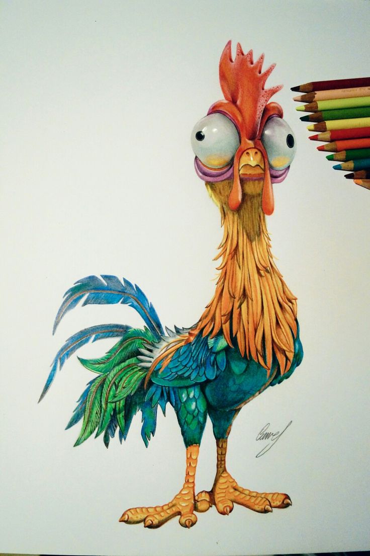 funny chicken drawings