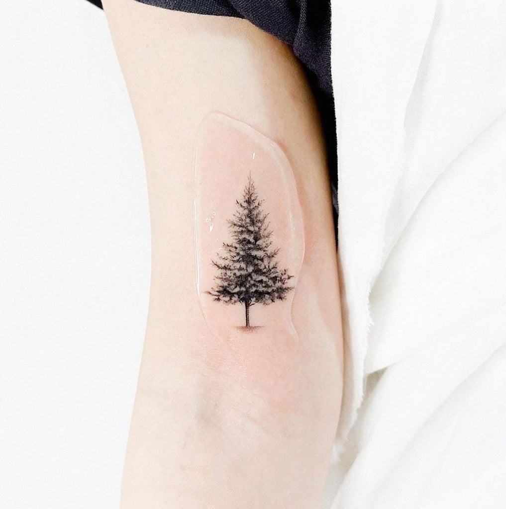 tree tattoo roots