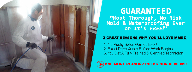 mold remediation near me reviews