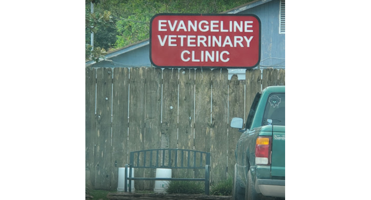 evangeline veterinary clinic