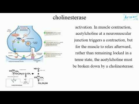 cholinesterase