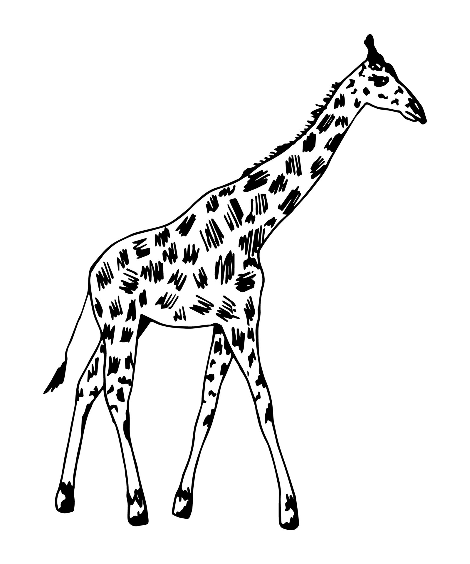 giraffe outline