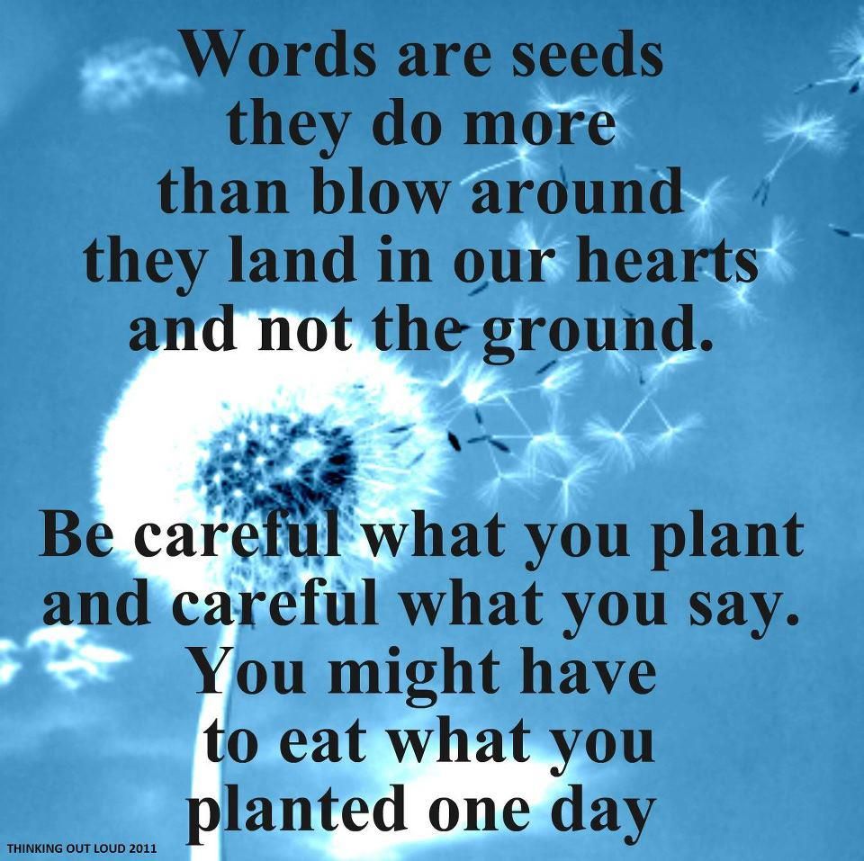 synonyms for seeds