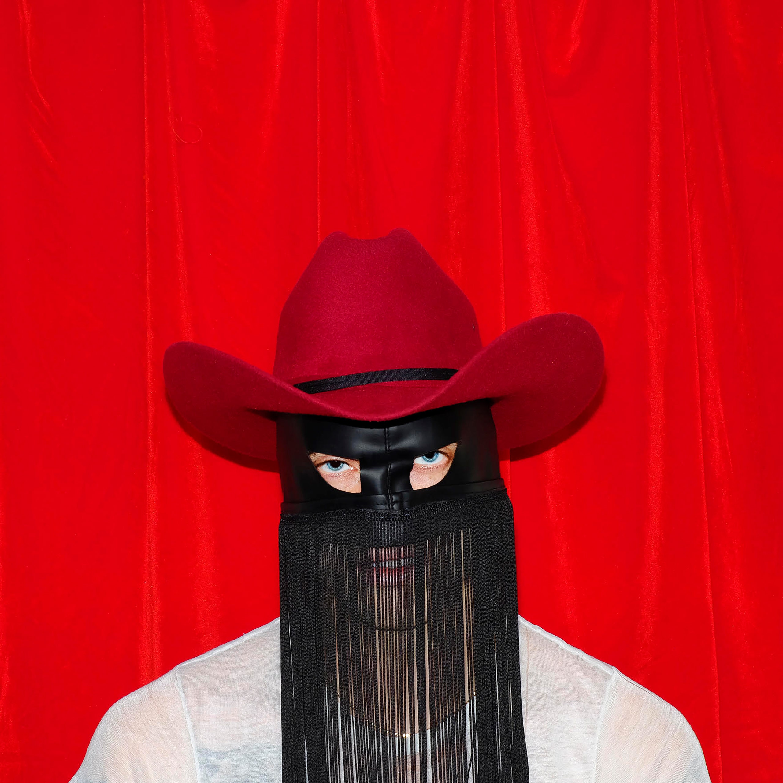 masked country singer