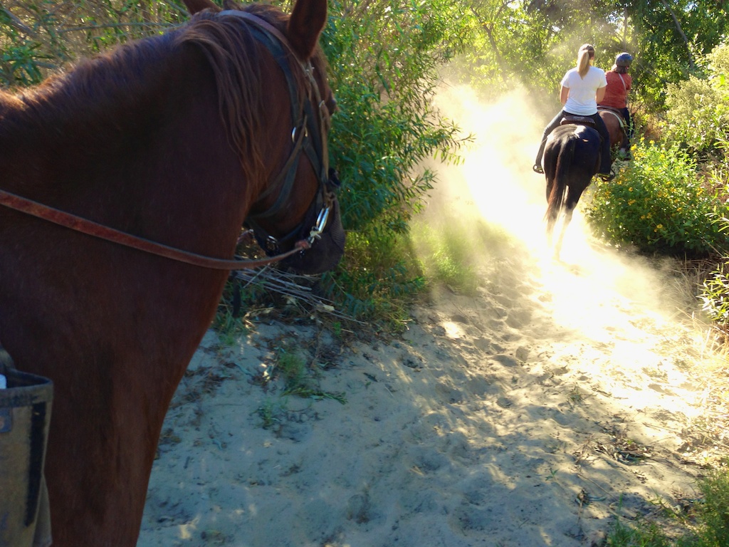 western trails horseback riding norco