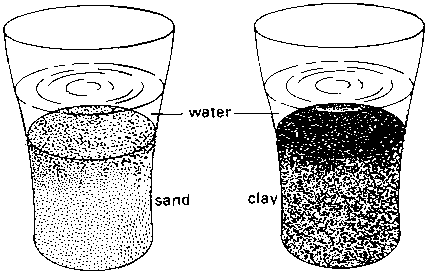 what weighs more water or sand