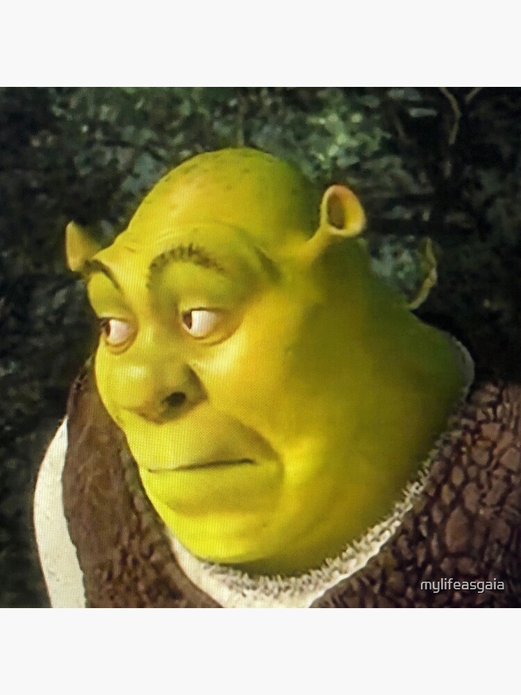 shrek long face meme