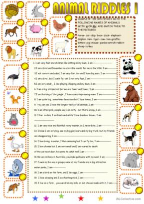 animal riddles worksheet with answers