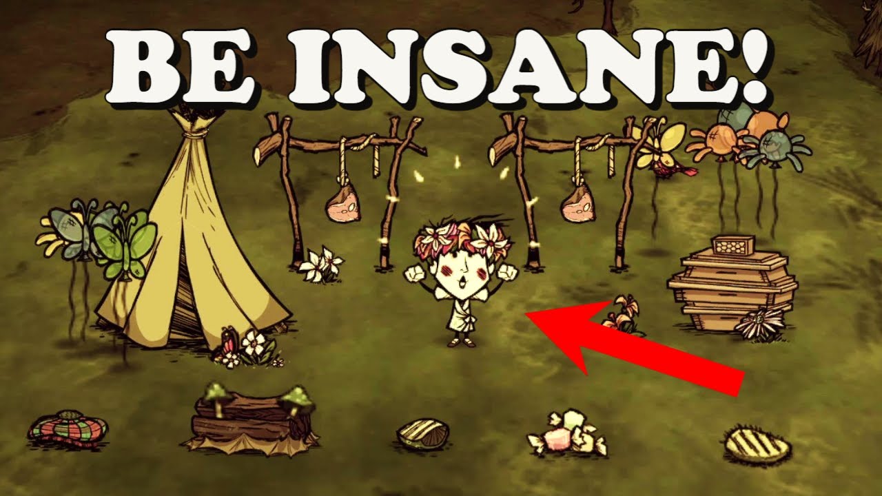 don t starve together insanity