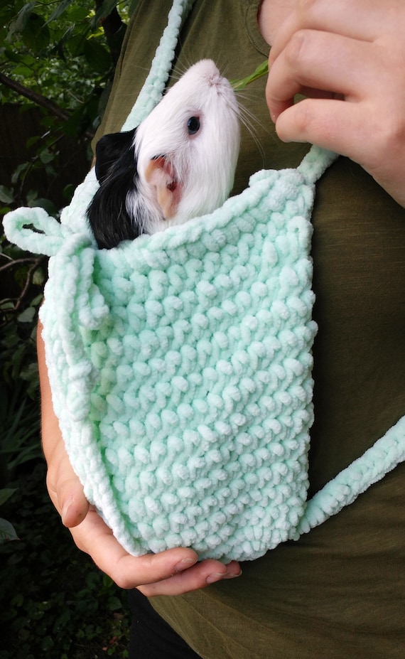 guinea pig carrier