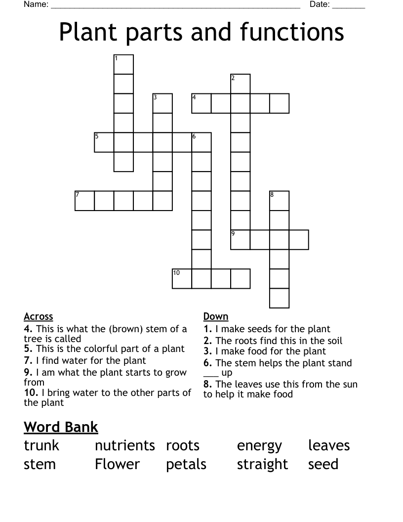 part of a plant crossword clue