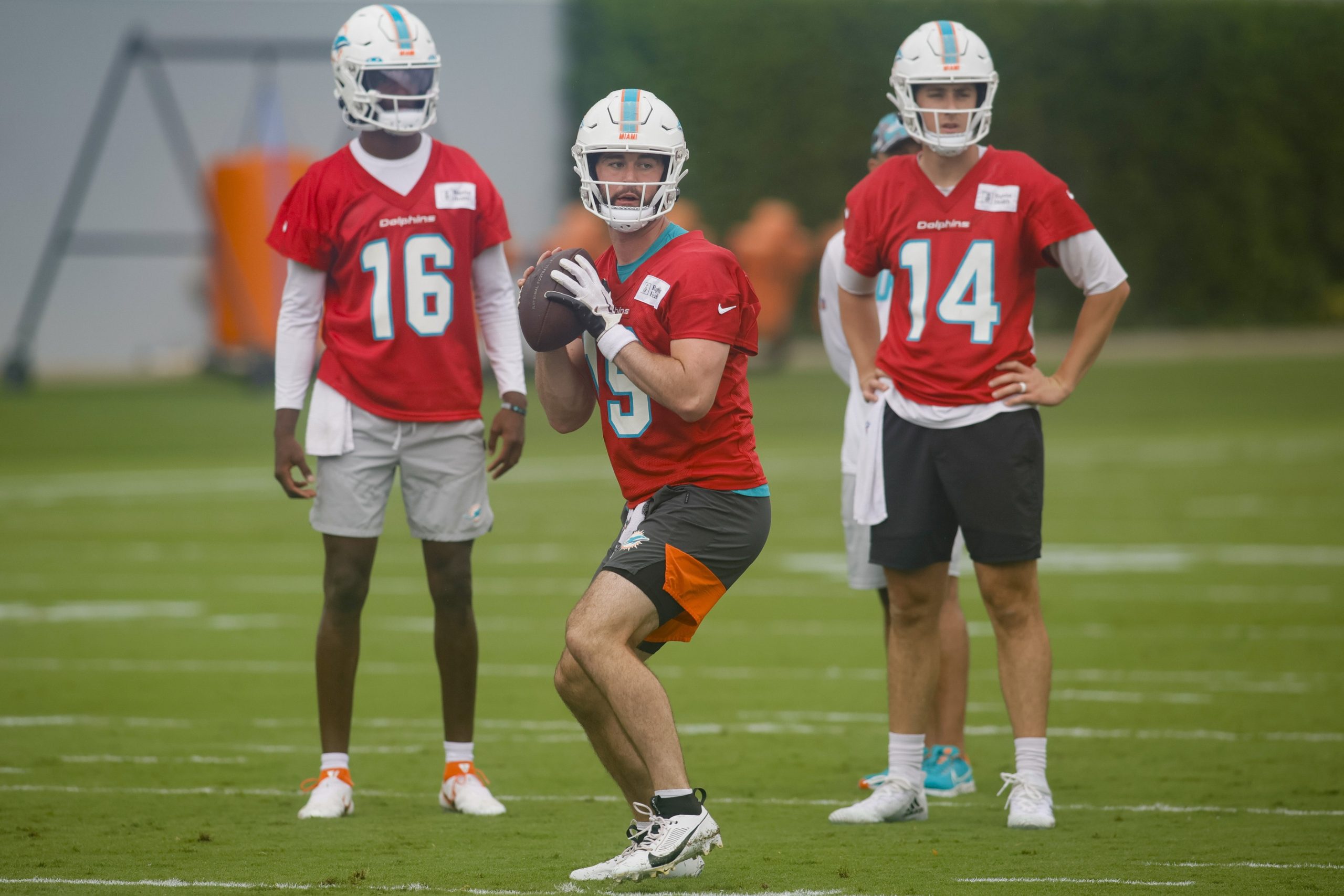 dolphins backup quarterback