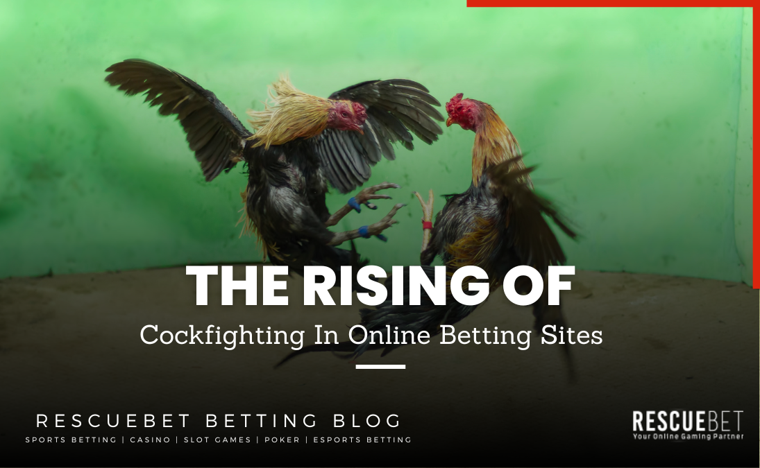 online cockfighting legal