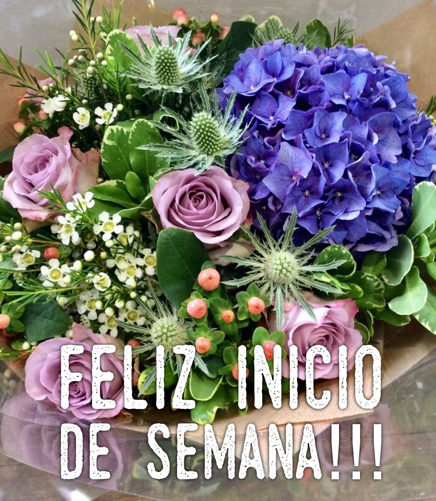 feliz inicio de semana con flores