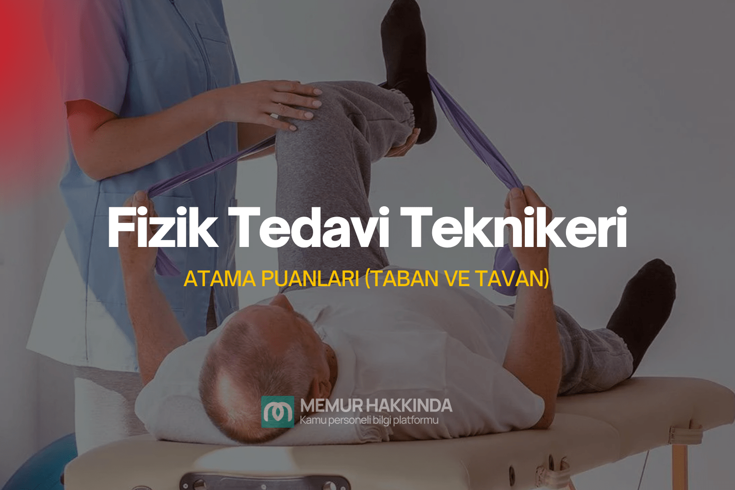 fizik tedavi teknikeri puanları