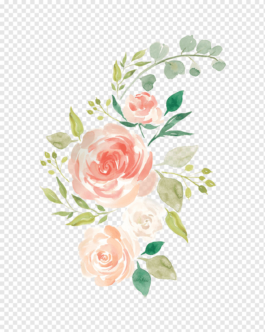 watercolor pastel flower png