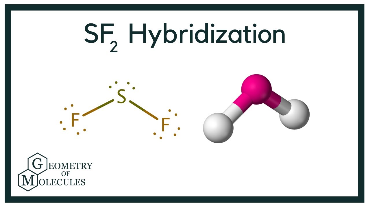 sf2 hybridization