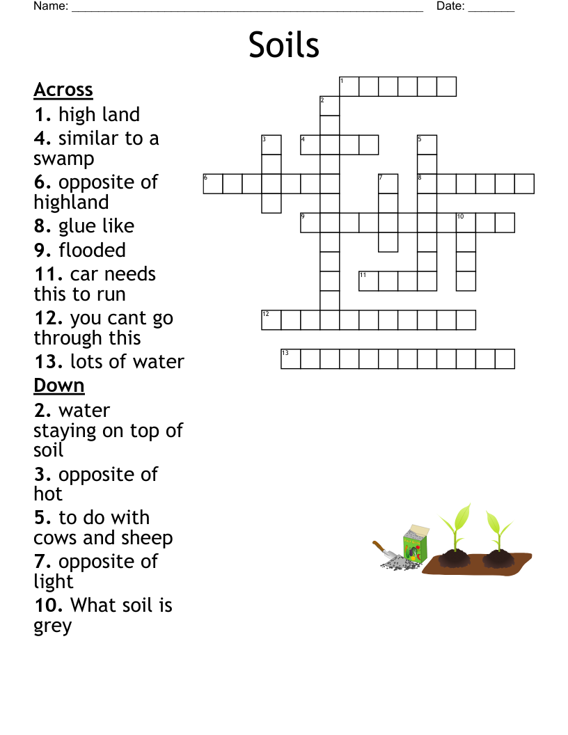 bog crossword clue