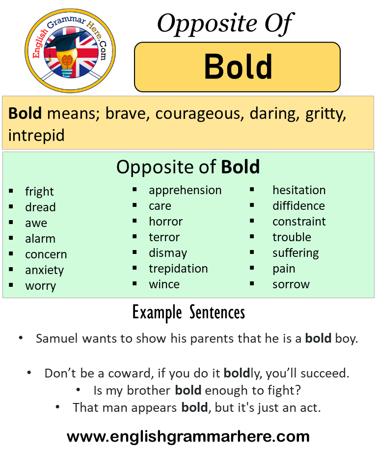 another word for boldly