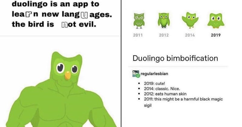 duolingo memes