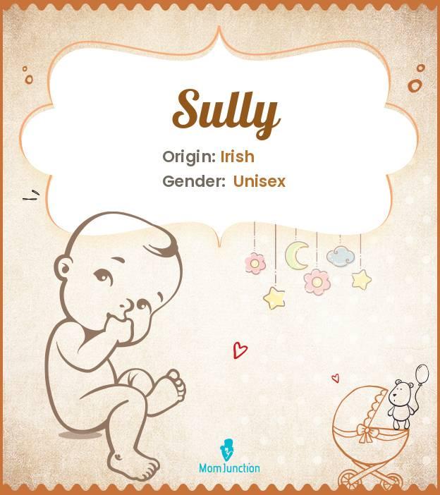 sully meaning in telugu