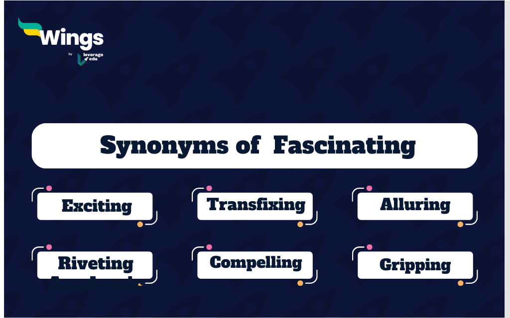 fascinated synonym