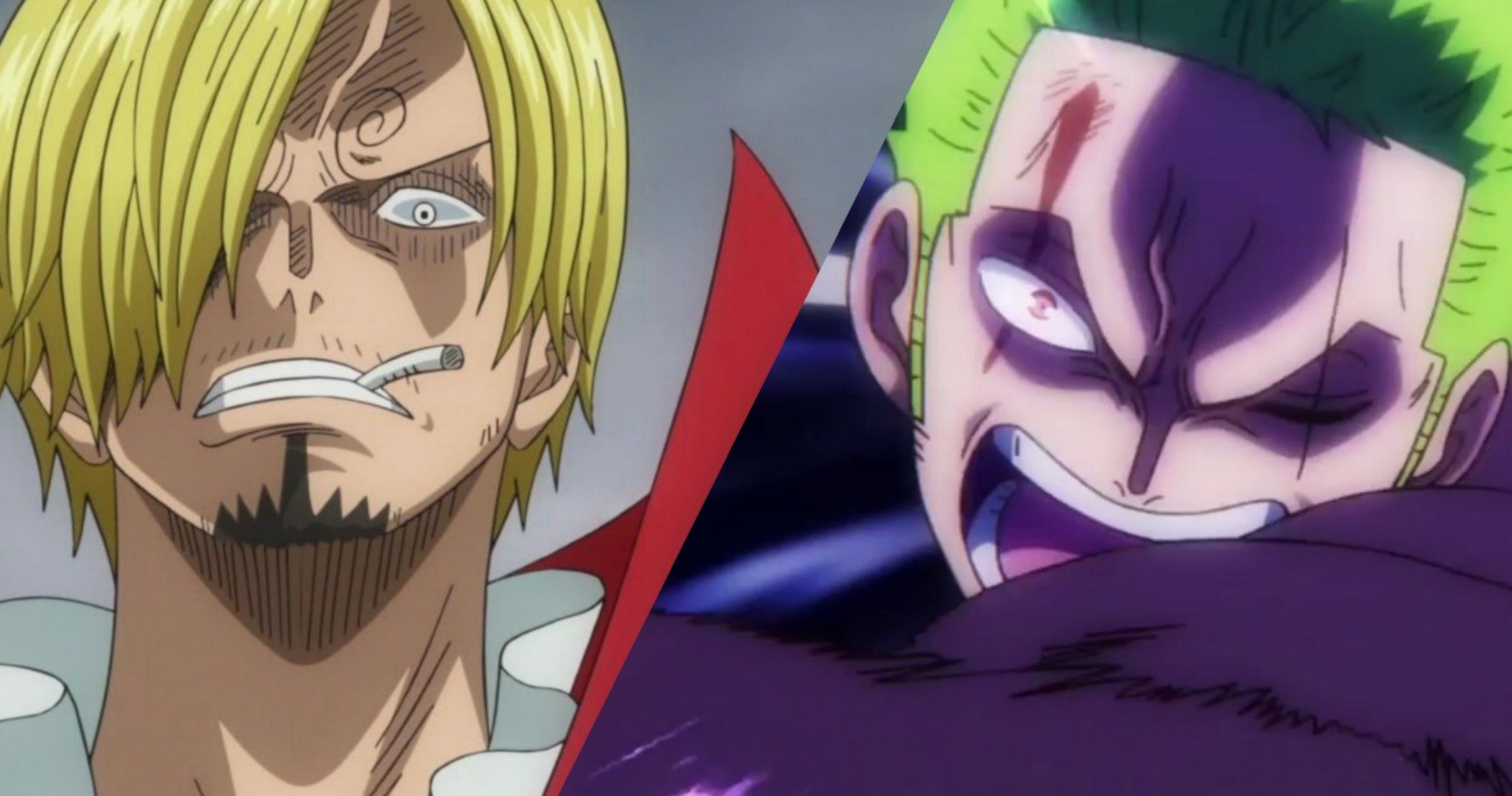 did zoro eat a devil fruit