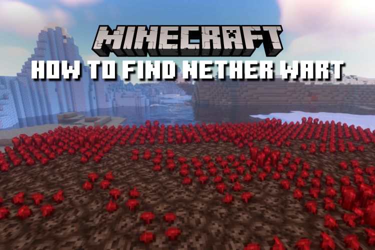 where do you find nether wart