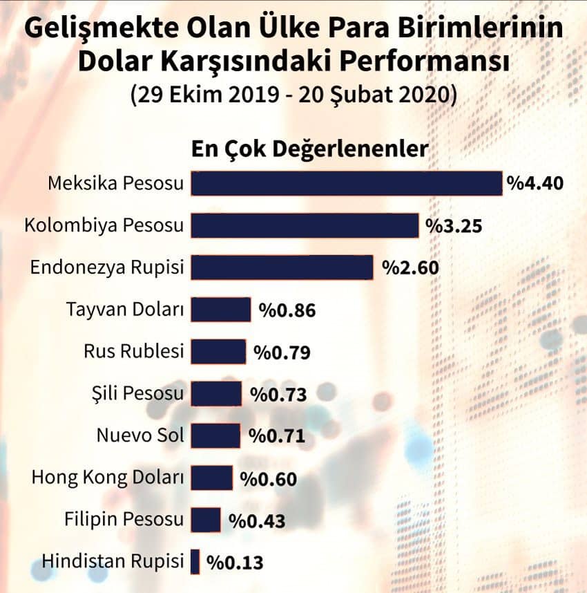 dolar karşısında değer kaybeden para birimleri 2021