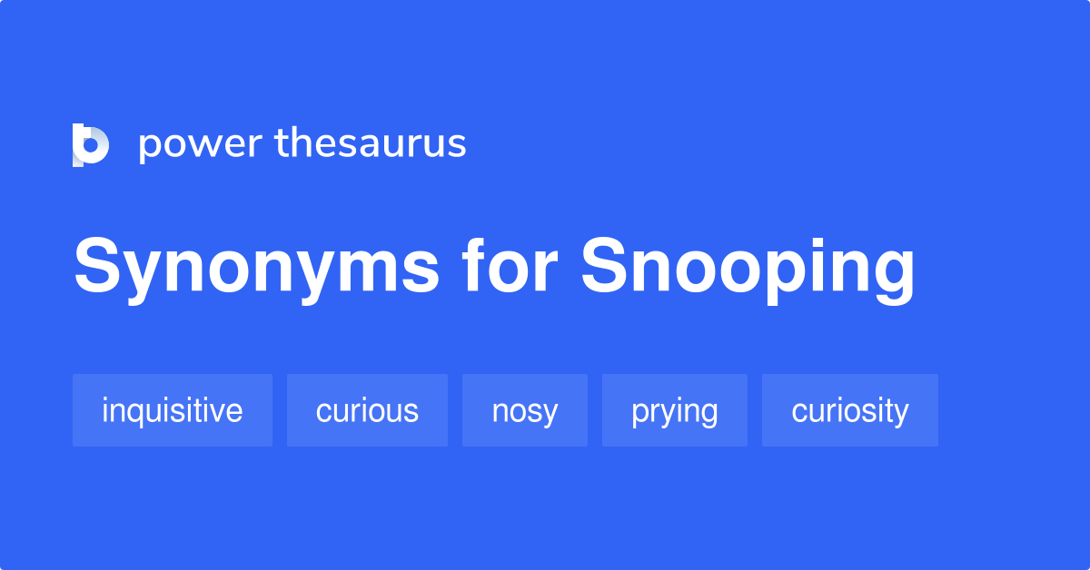 snooping synonym