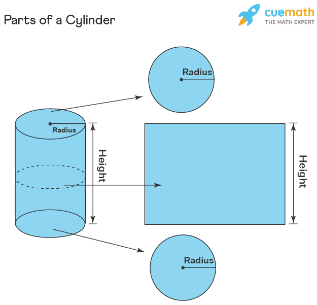 the circumference of the base of a cylinder