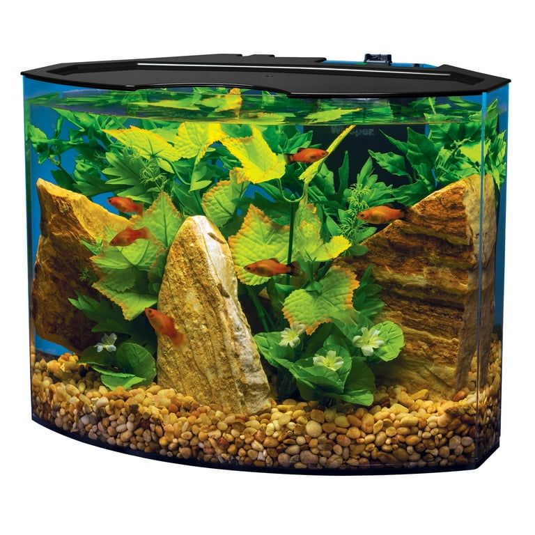 tetra 5 gallon fish tank