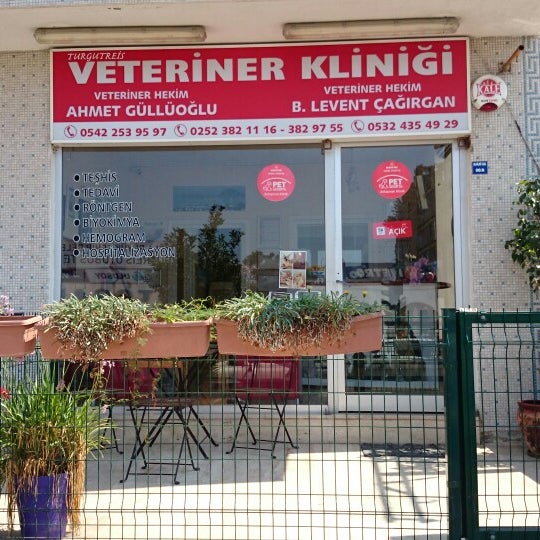 turgutreis veteriner klinikleri